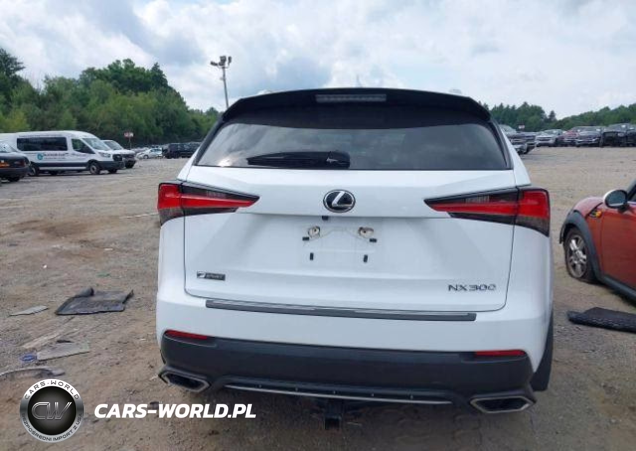 2018 Lexus Nx 300 VIN:JTJBARBZ7J2175242 - 17