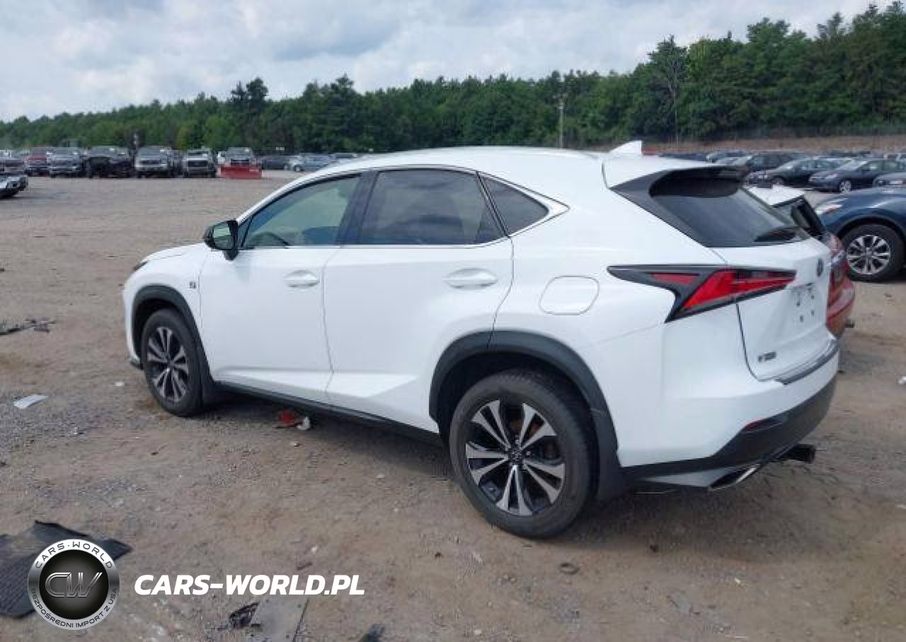 2018 Lexus Nx 300 VIN:JTJBARBZ7J2175242 - 4