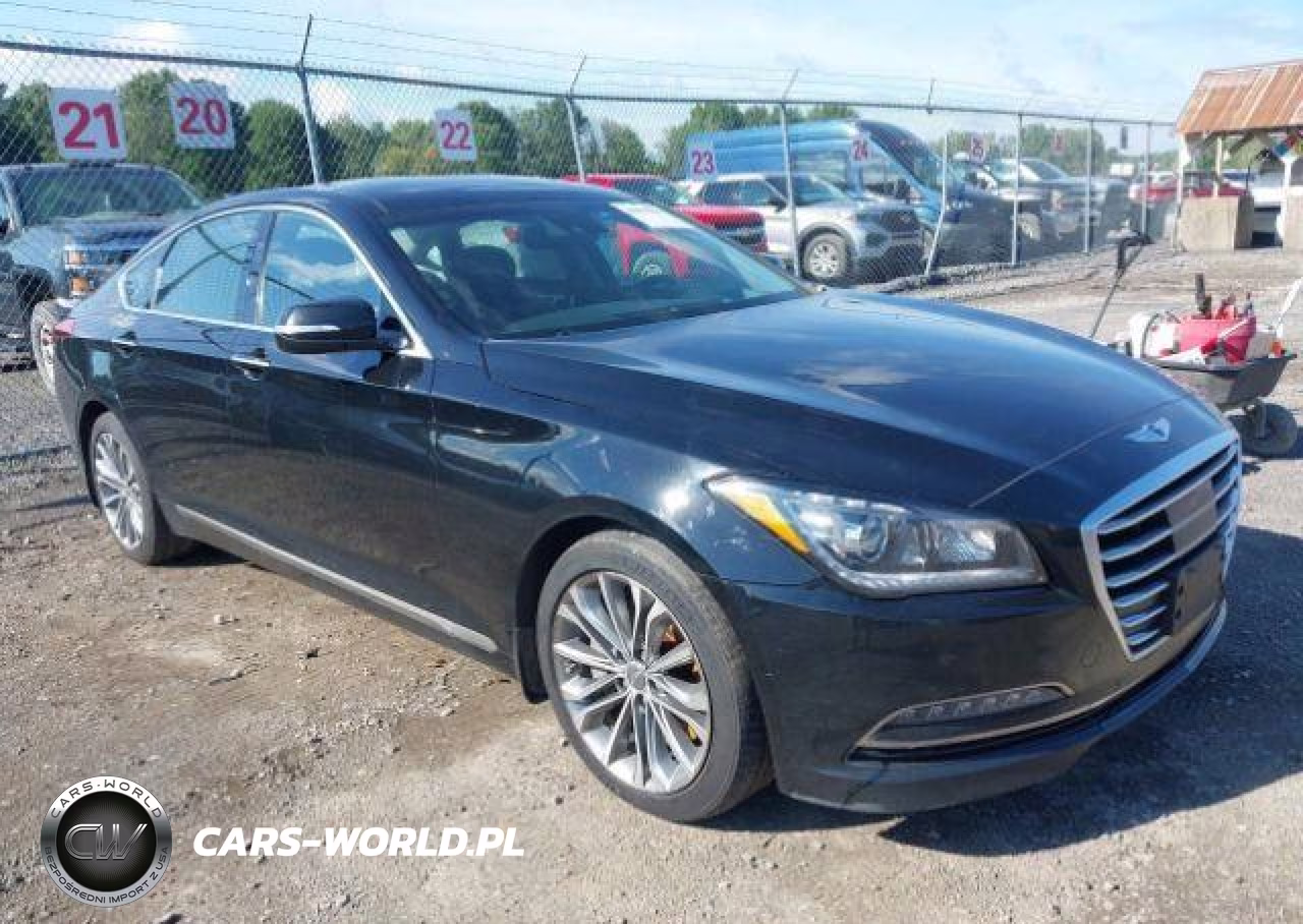 2015 Hyundai Genesis 3.8L VIN:KMHGN4JE5FU078871 - 1
