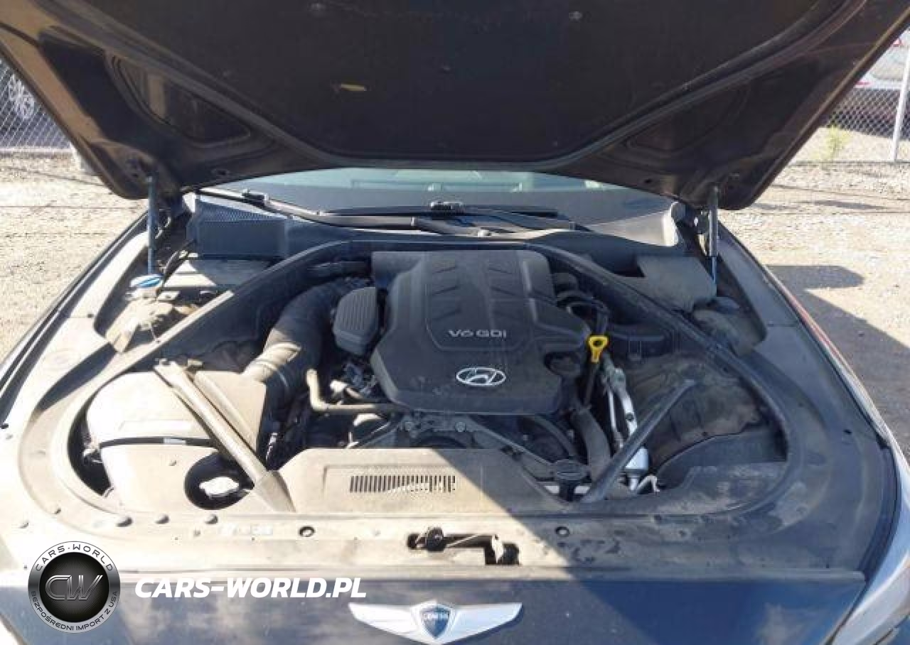 2015 Hyundai Genesis 3.8L VIN:KMHGN4JE5FU078871 - 11