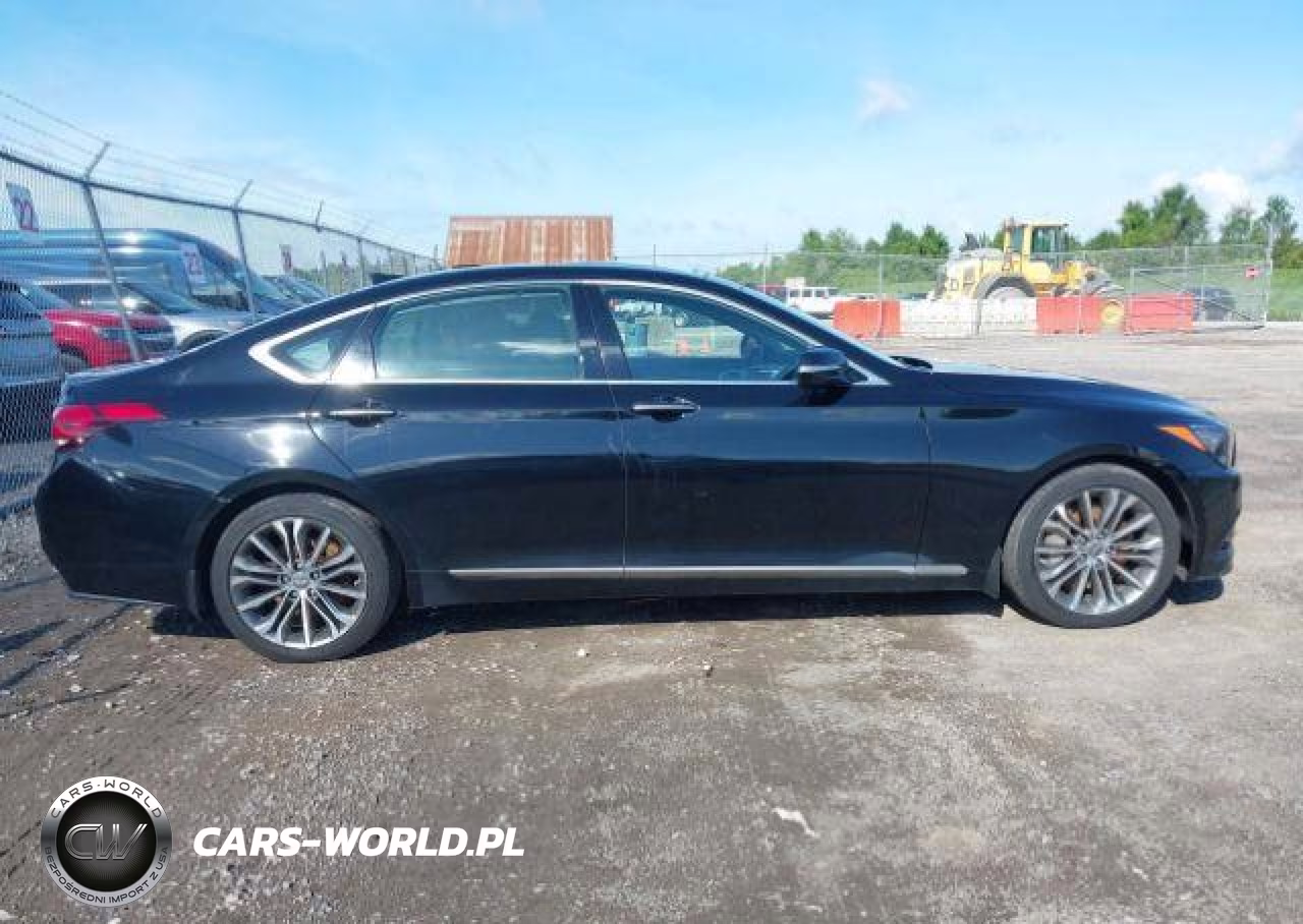 2015 Hyundai Genesis 3.8L VIN:KMHGN4JE5FU078871 - 14