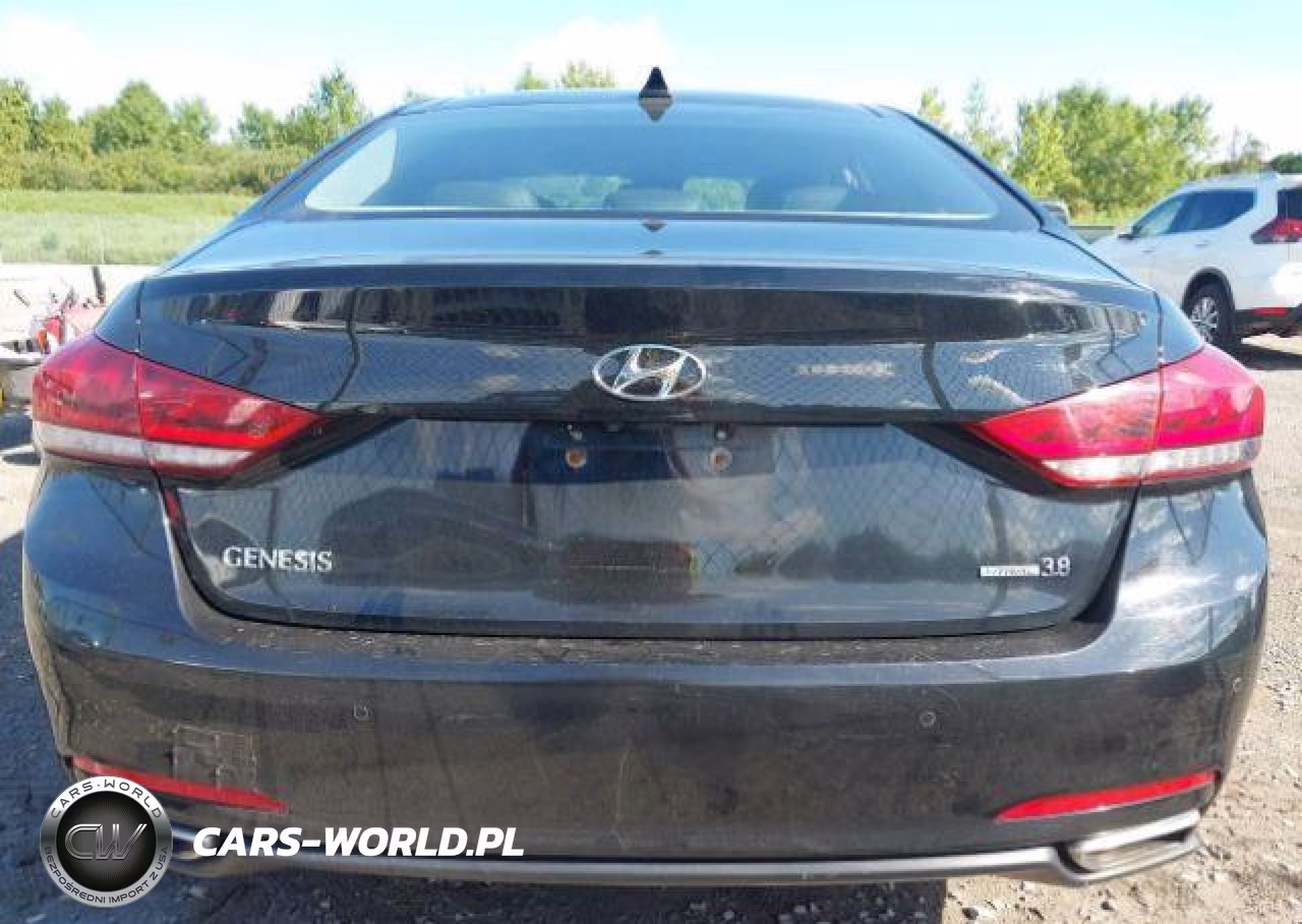 2015 Hyundai Genesis 3.8L VIN:KMHGN4JE5FU078871 - 17