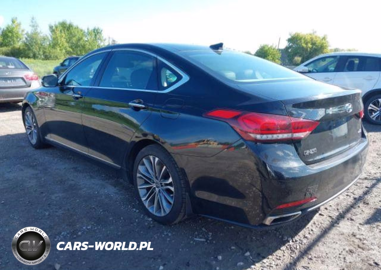 2015 Hyundai Genesis 3.8L VIN:KMHGN4JE5FU078871 - 4
