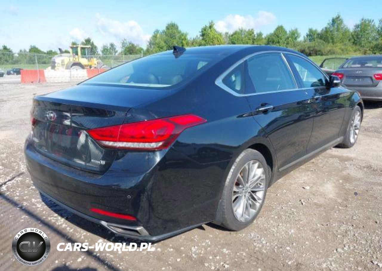 2015 Hyundai Genesis 3.8L VIN:KMHGN4JE5FU078871 - 5