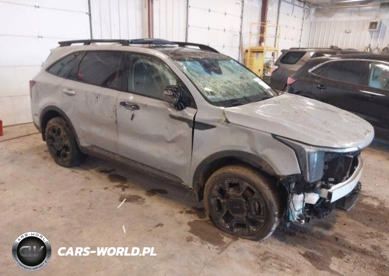 2025 Kia Sorento Ex-X-Line Ex VIN:5XYRHDJF8SG338592 - 1