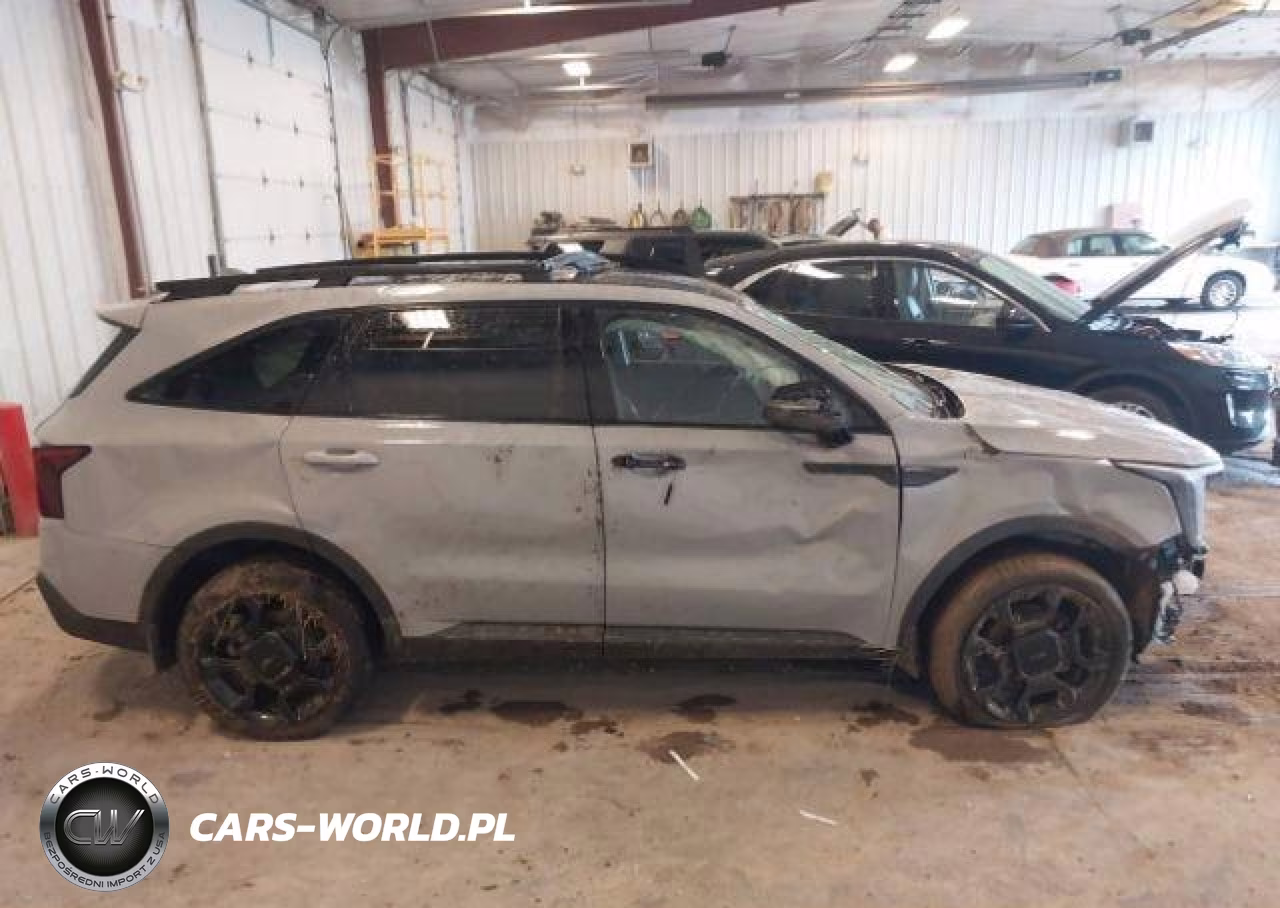2025 Kia Sorento Ex-X-Line Ex VIN:5XYRHDJF8SG338592 - 13