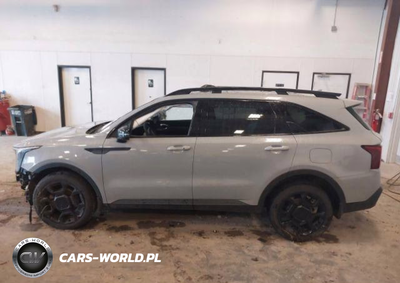 2025 Kia Sorento Ex-X-Line Ex VIN:5XYRHDJF8SG338592 - 14