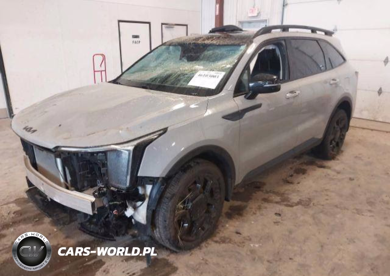 2025 Kia Sorento Ex-X-Line Ex VIN:5XYRHDJF8SG338592 - 3