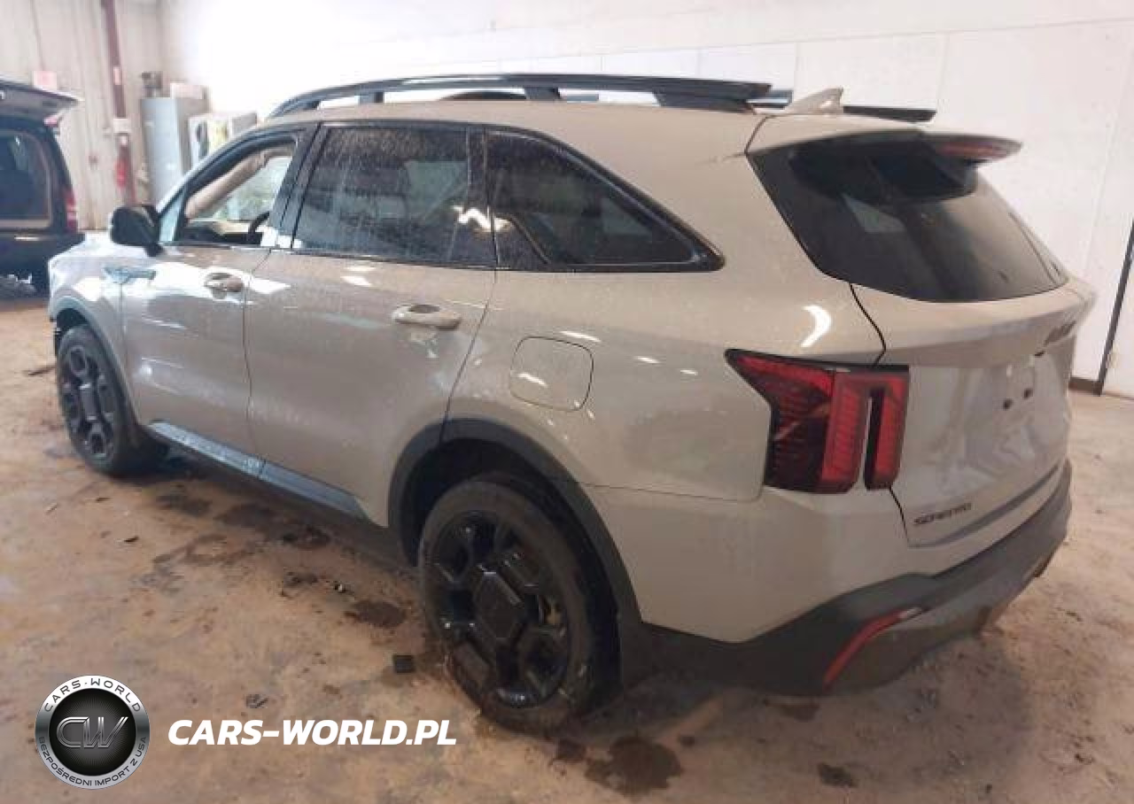 2025 Kia Sorento Ex-X-Line Ex VIN:5XYRHDJF8SG338592 - 4