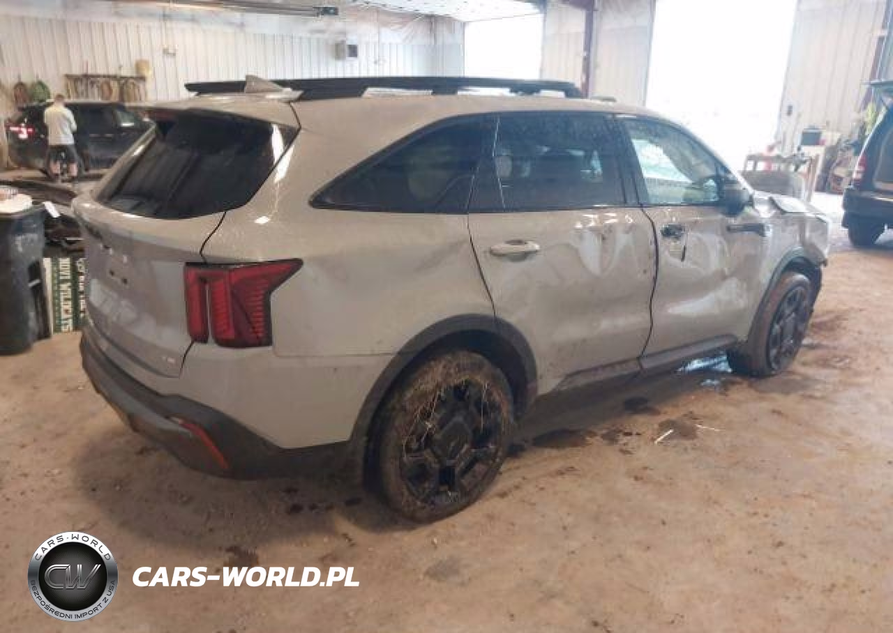 2025 Kia Sorento Ex-X-Line Ex VIN:5XYRHDJF8SG338592 - 5