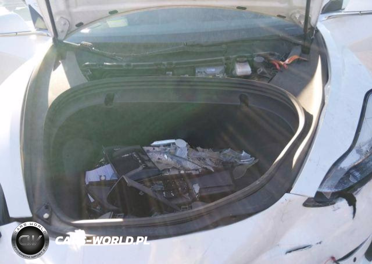 2020 Tesla Model 3 VIN:5YJ3E1EA6LF626003 - 11