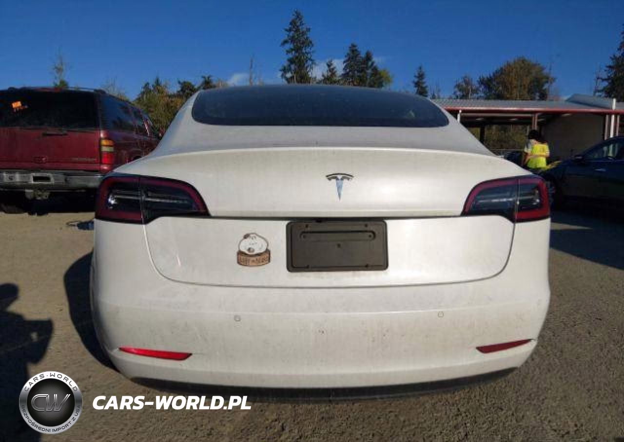 2020 Tesla Model 3 VIN:5YJ3E1EA6LF626003 - 17