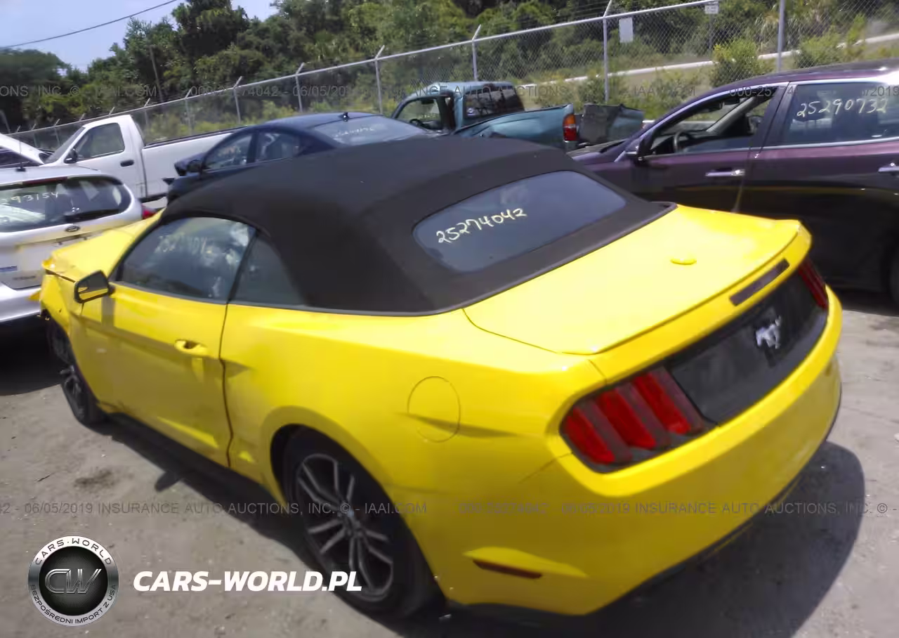 2016 Ford Mustang Ecoboost Premium VIN:1FATP8UH9G5222000 - 3