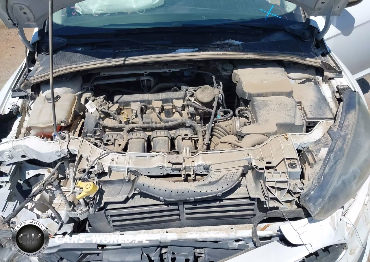 2015 Ford Focus Se VIN:1FADP3F20FL348689 - 10