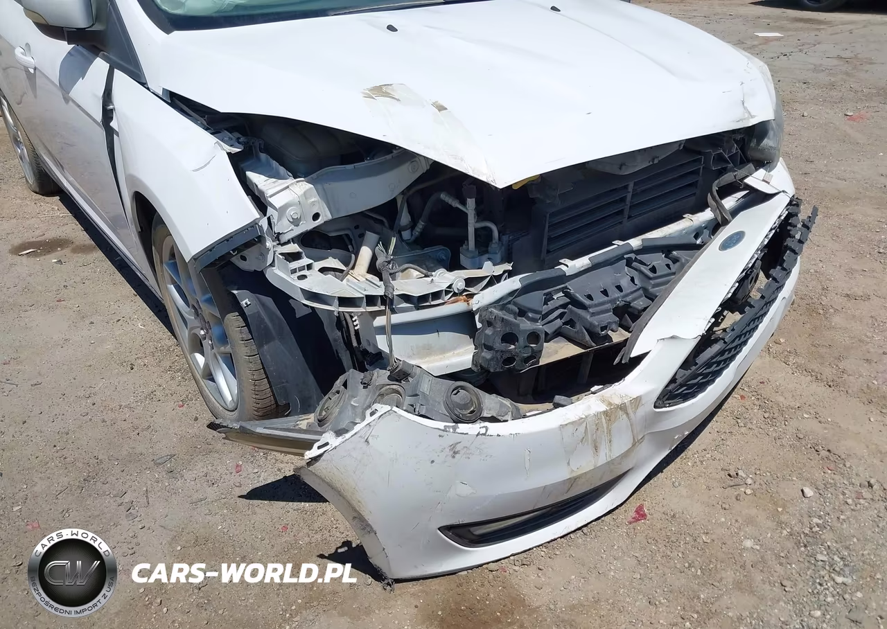 2015 Ford Focus Se VIN:1FADP3F20FL348689 - 17