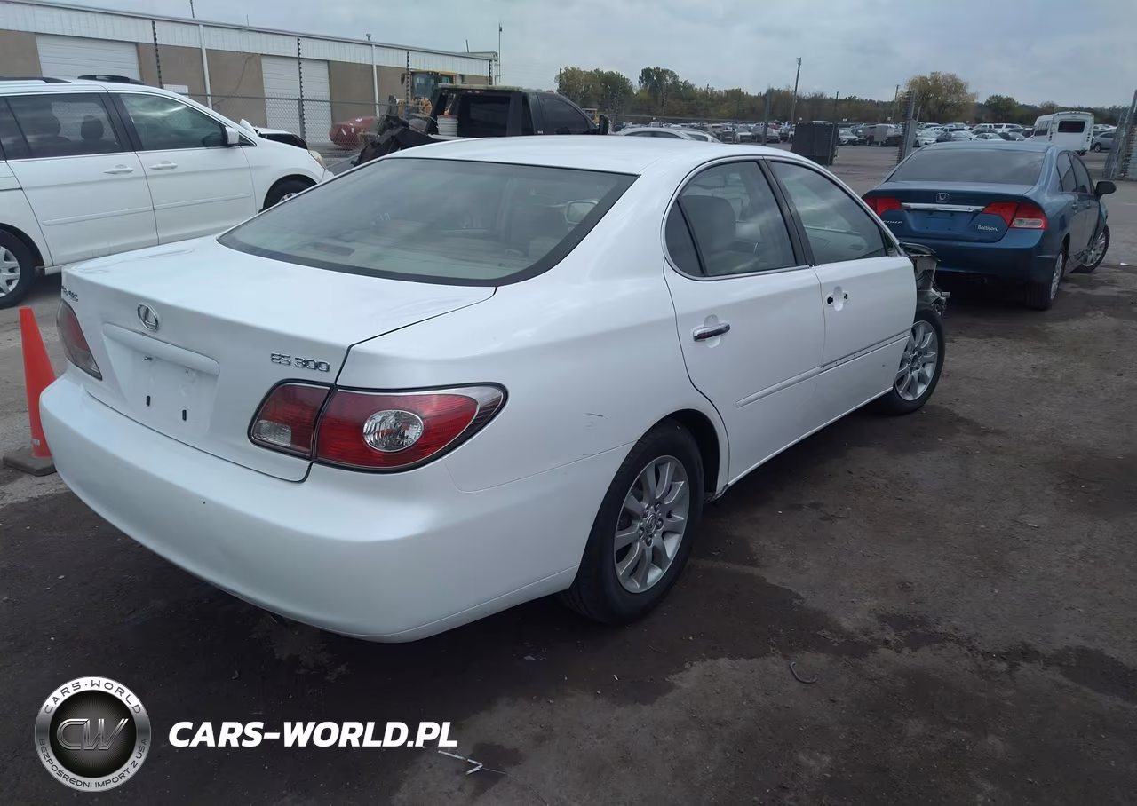 2002 Lexus Es 300 Base (A4) VIN:JTHBF30G220061440 - 4