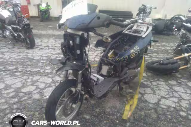 2009 Aprilia Sportcity 250 Cube