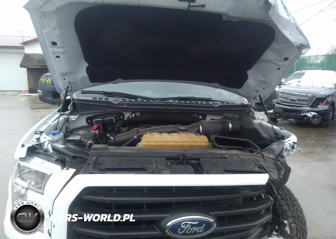 2017 Ford F-150 Xlt VIN:1FTFW1EG3HFC20665 - 10