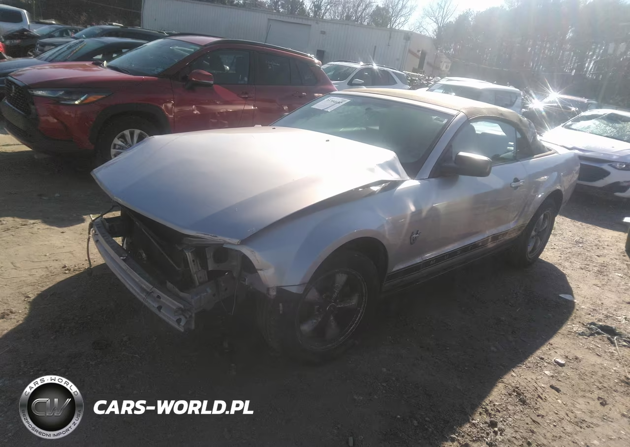 2009 Ford Mustang V6-V6 Premium VIN:1ZVHT84N395102601 - 2