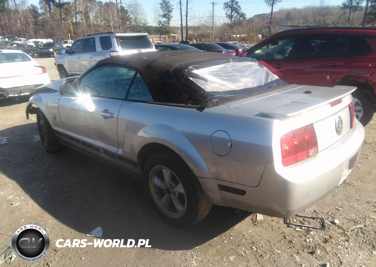 2009 Ford Mustang V6-V6 Premium VIN:1ZVHT84N395102601 - 3