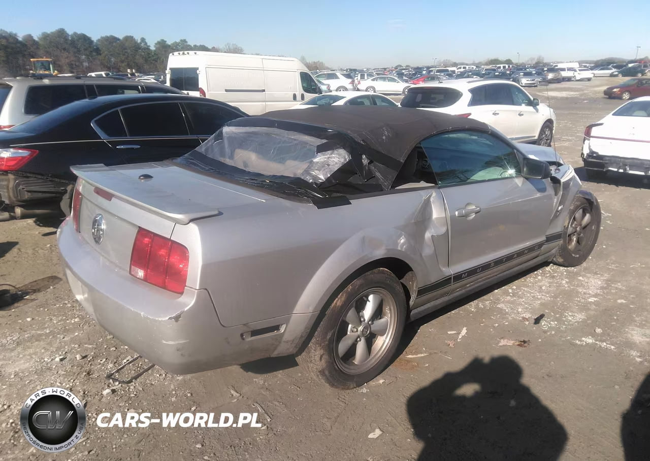 2009 Ford Mustang V6-V6 Premium VIN:1ZVHT84N395102601 - 4