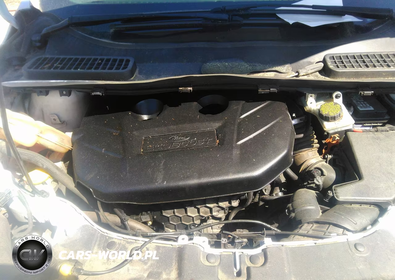 2015 Ford Escape Se VIN:1FMCU9G91FUB70309 - 10