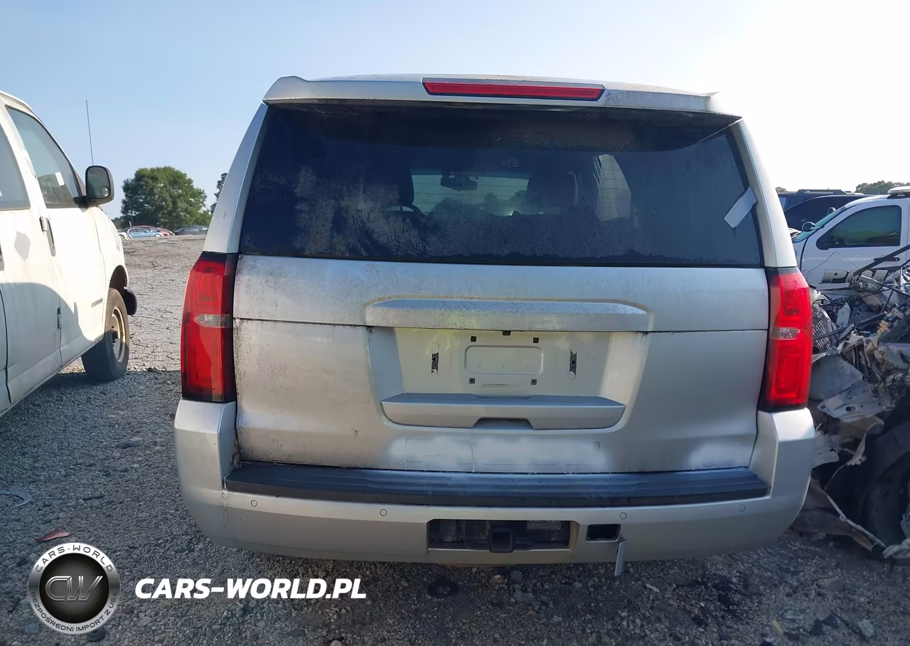 2019 Chevrolet Tahoe Commercial Fleet VIN:1GNLCDEC0KR378503 - 16