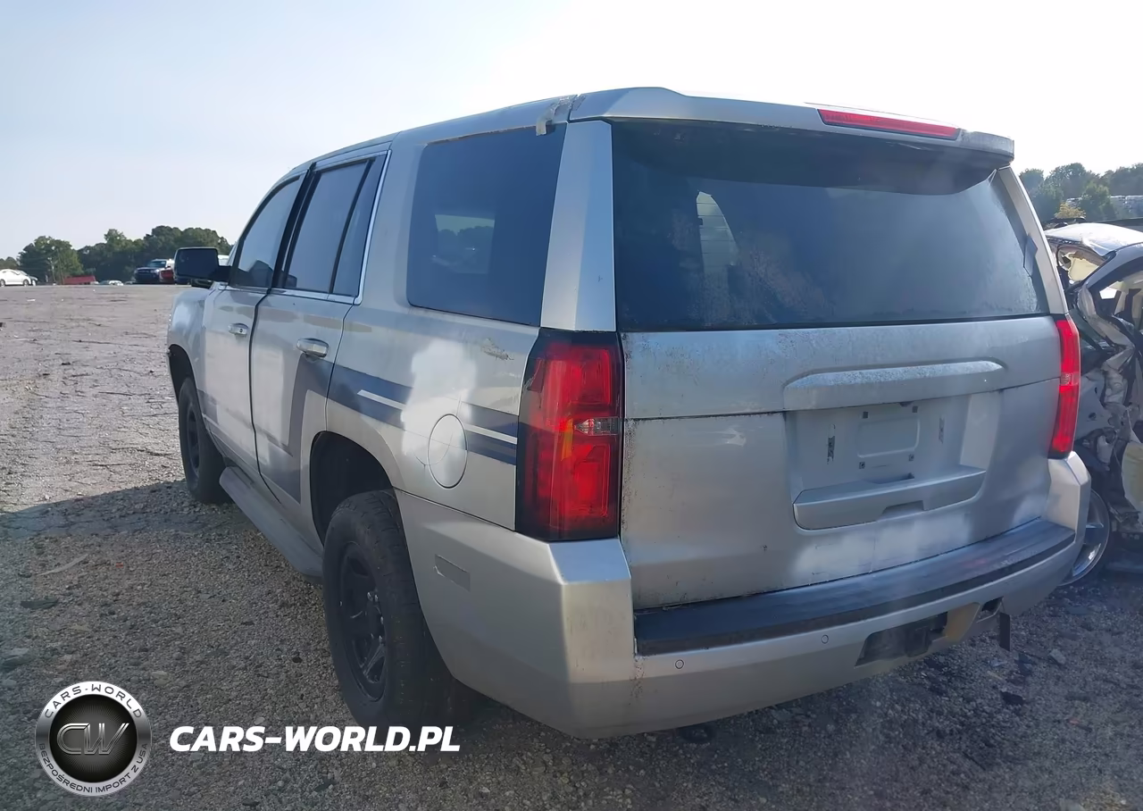 2019 Chevrolet Tahoe Commercial Fleet VIN:1GNLCDEC0KR378503 - 3