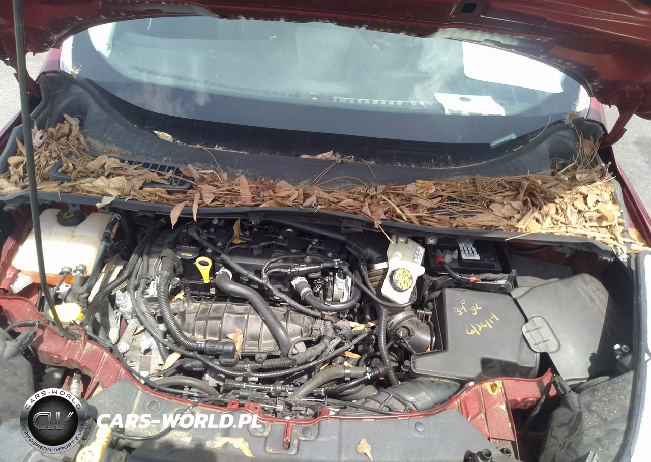 2014 Ford Escape Se VIN:1FMCU9GX1EUC33583 - 10