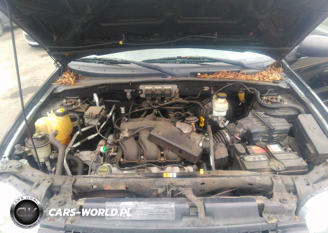 2005 Ford Escape Limited VIN:1FMCU041X5KB95097 - 10