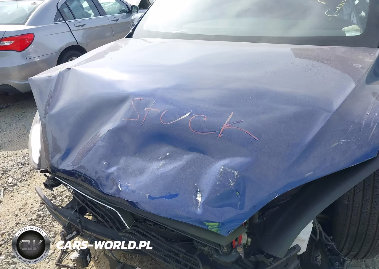 2016 Tesla Model X 60D-70D-75D-90D-P100D VIN:5YJXCBE23GF018161 - 12