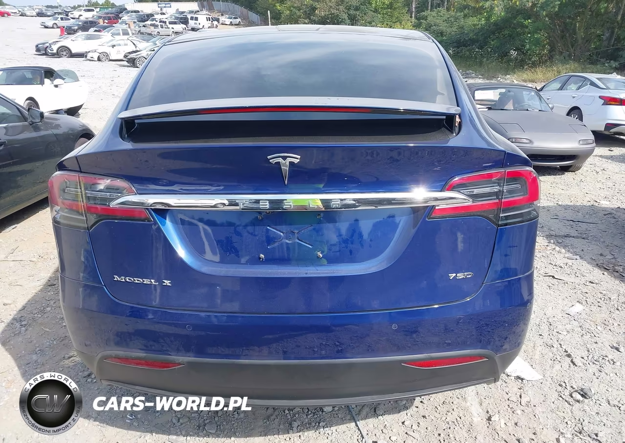 2016 Tesla Model X 60D-70D-75D-90D-P100D VIN:5YJXCBE23GF018161 - 17