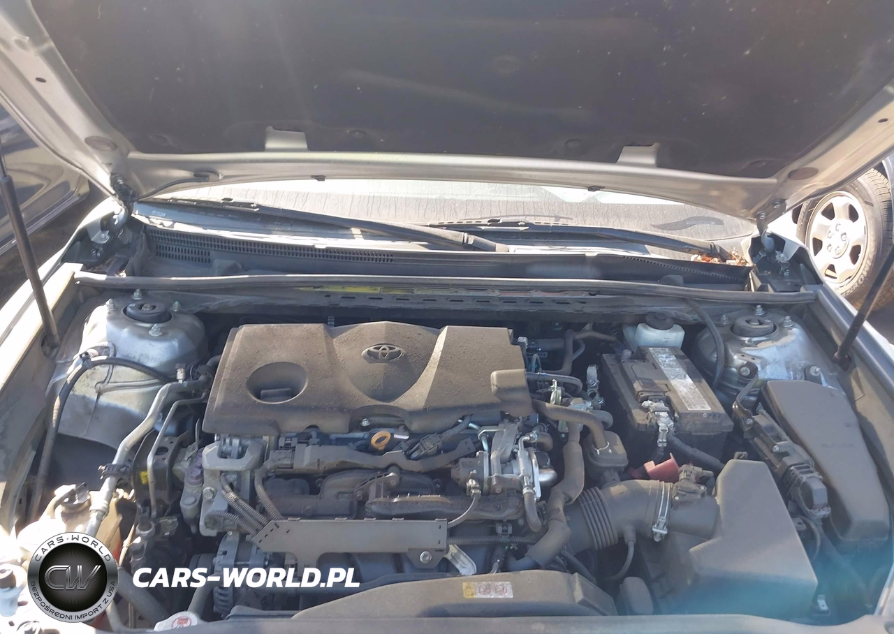 2019 Toyota Camry Le VIN:4T1B11HK5KU786399 - 10