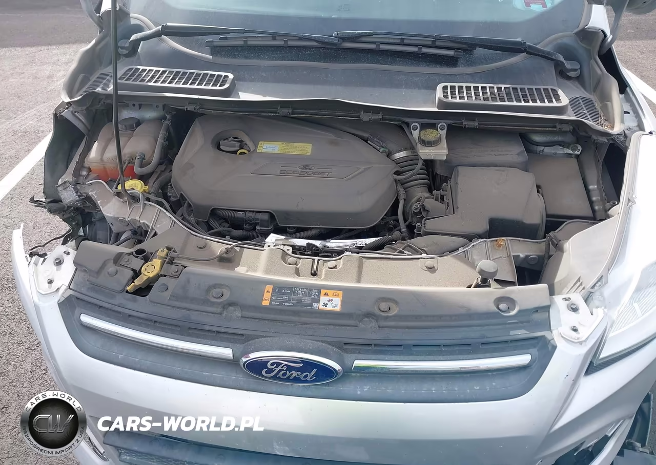 2014 Ford Escape Se VIN:1FMCU9GX2EUA24174 - 10
