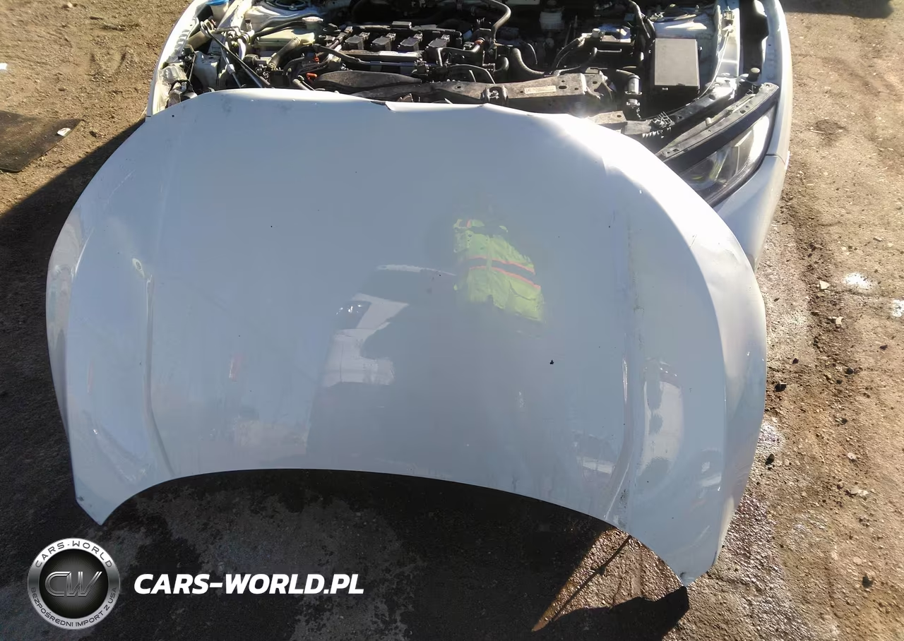 2019 Honda Civic Ex VIN:SHHFK7H68KU213531 - 12