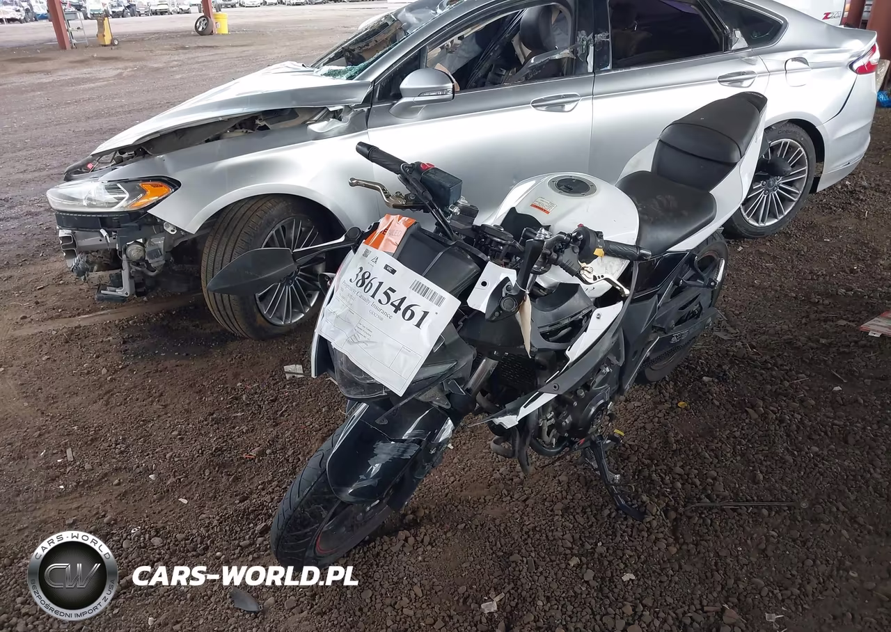 2020 Suzuki Gsx250R M-Zm-Za VIN:LC6DN11A4L1100354 - 2