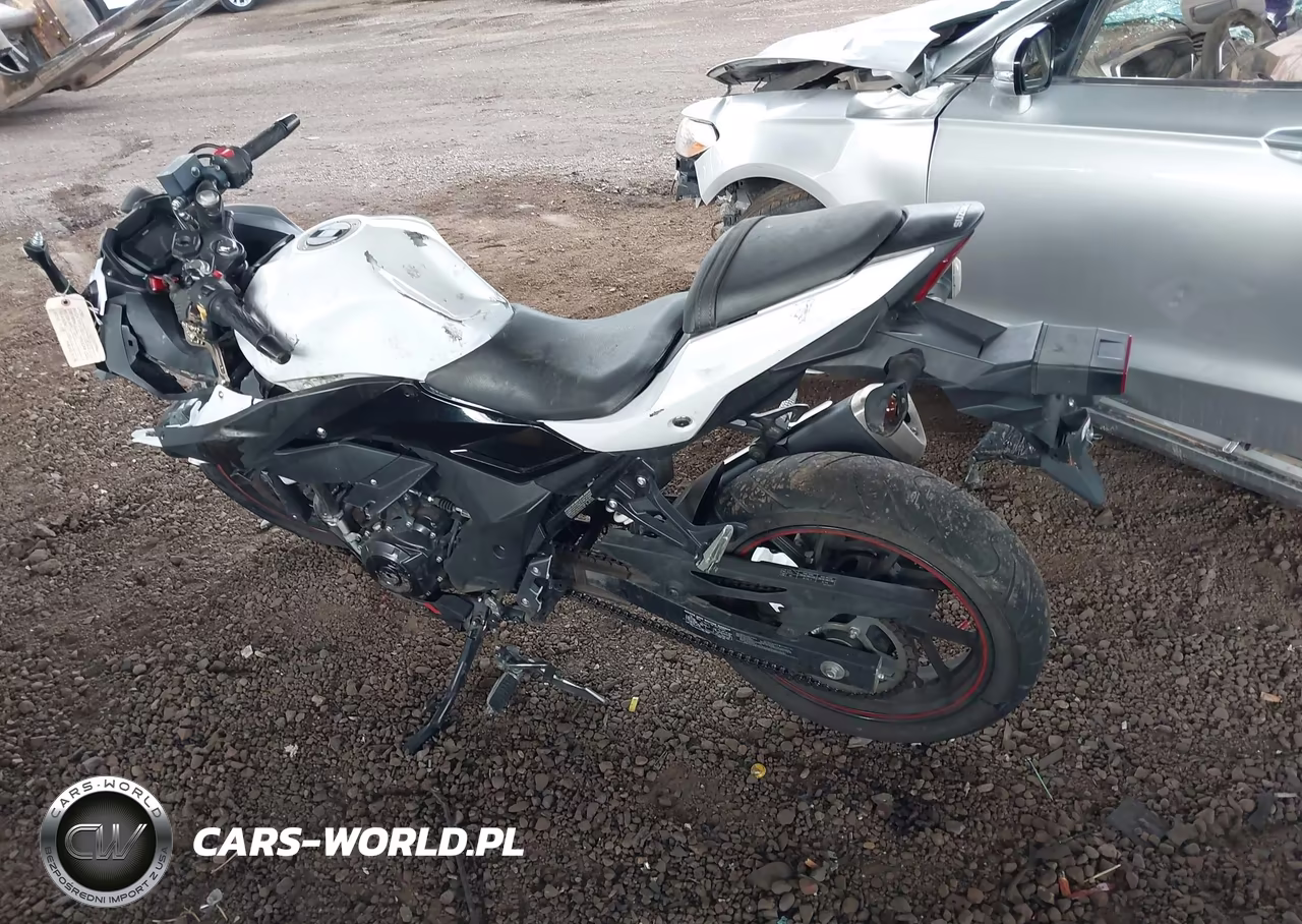 2020 Suzuki Gsx250R M-Zm-Za VIN:LC6DN11A4L1100354 - 3