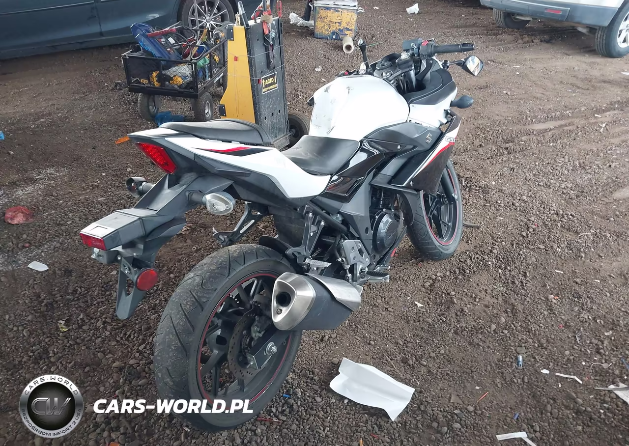2020 Suzuki Gsx250R M-Zm-Za VIN:LC6DN11A4L1100354 - 4