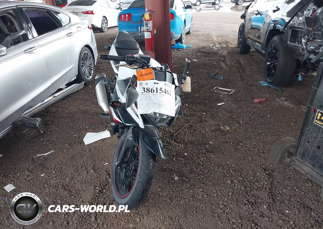 2020 Suzuki Gsx250R M-Zm-Za VIN:LC6DN11A4L1100354 - 5