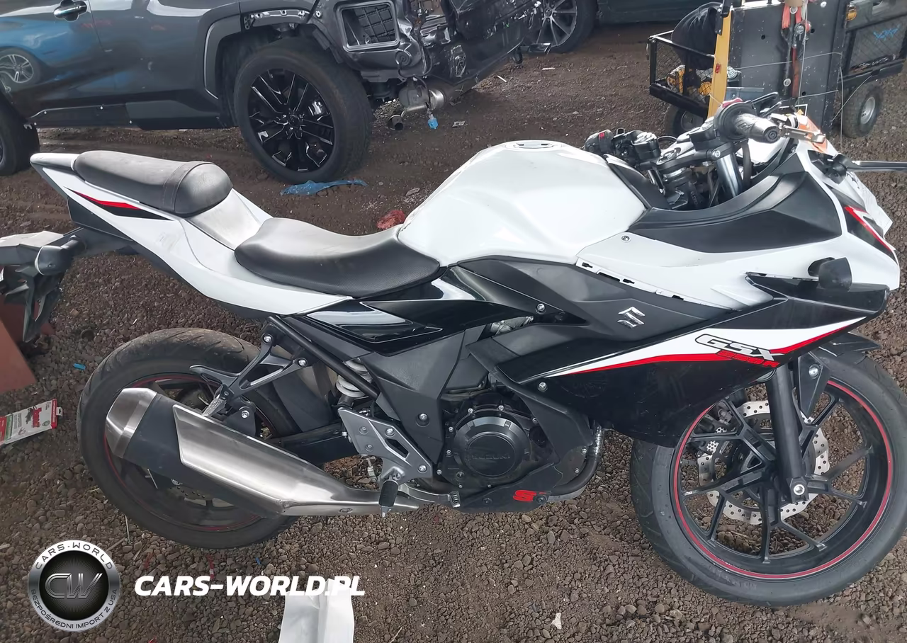 2020 Suzuki Gsx250R M-Zm-Za VIN:LC6DN11A4L1100354 - 8