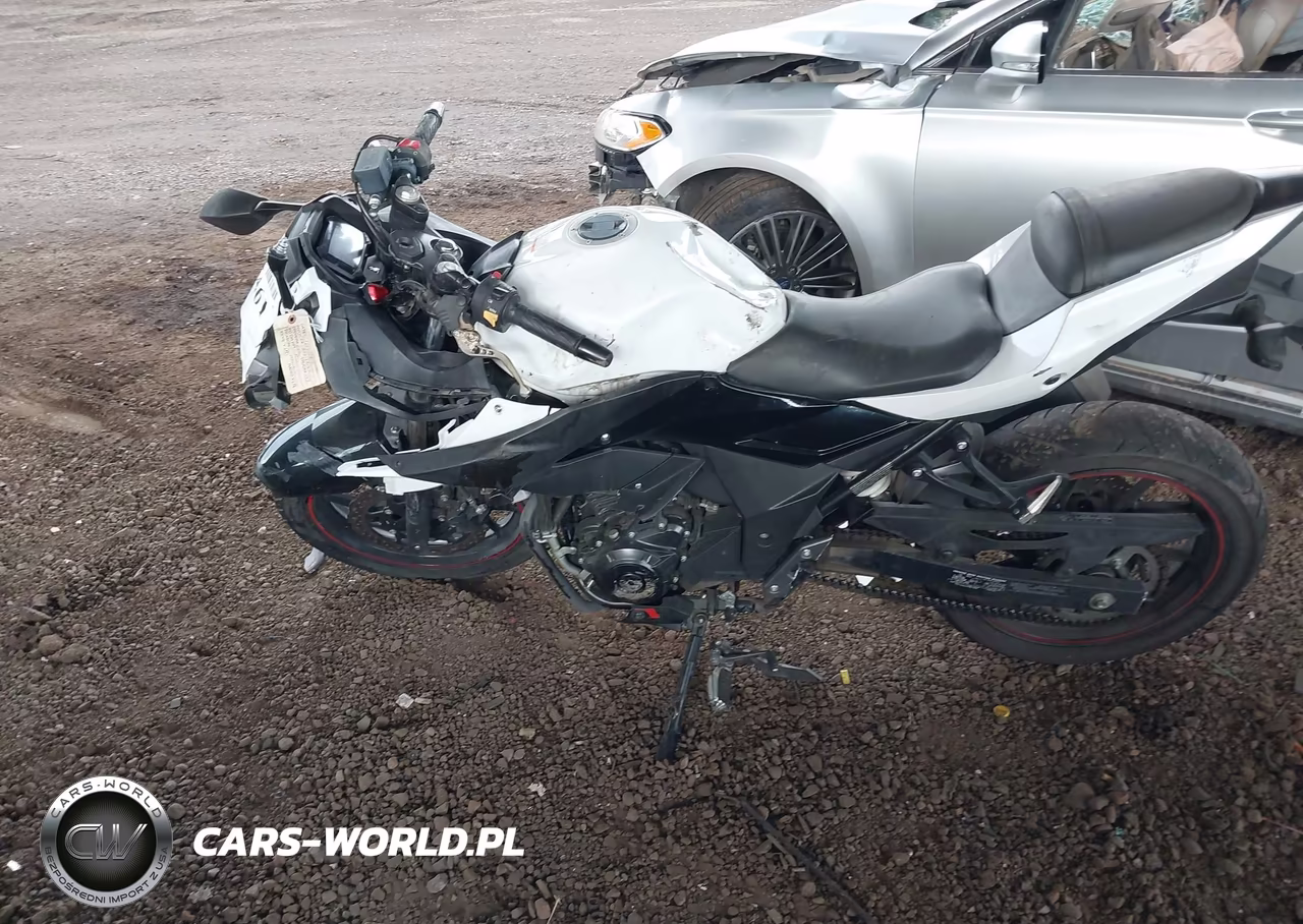 2020 Suzuki Gsx250R M-Zm-Za VIN:LC6DN11A4L1100354 - 9
