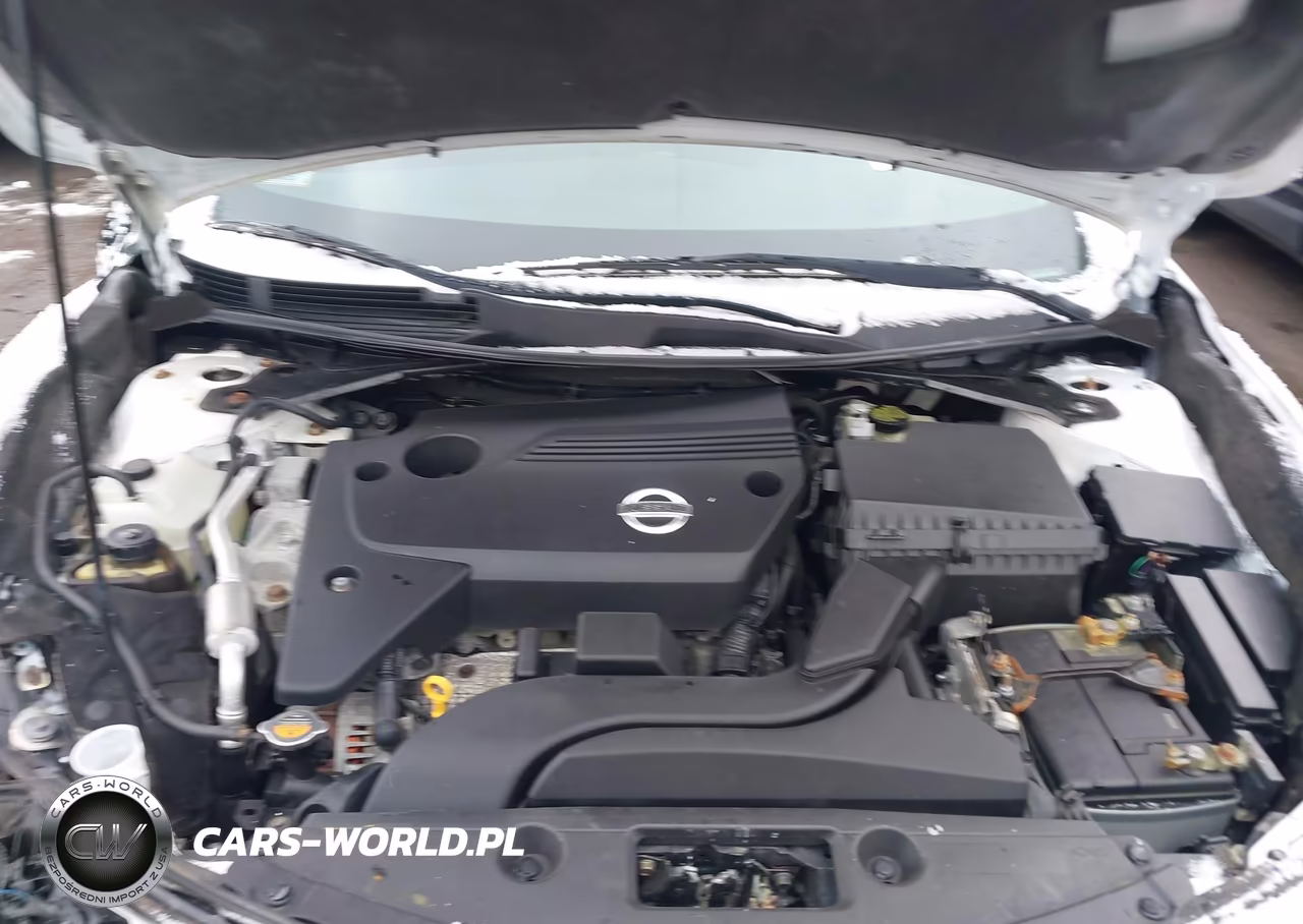 2014 Nissan Altima 2.5-2.5 S-2.5 Sl-2.5 Sv VIN:1N4AL3AP7EC284831 - 10