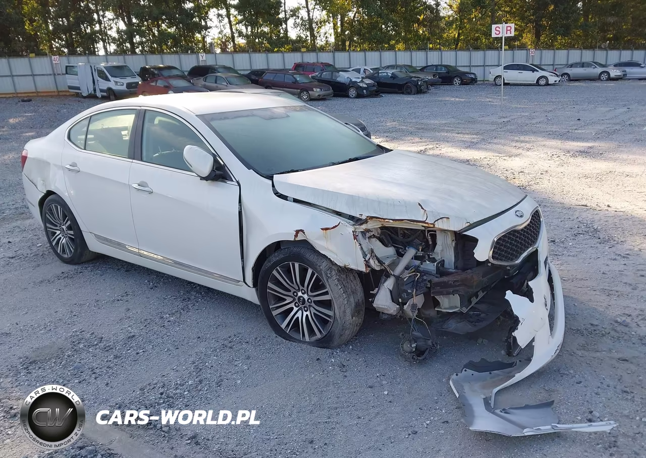 2014 Kia Cadenza Premium