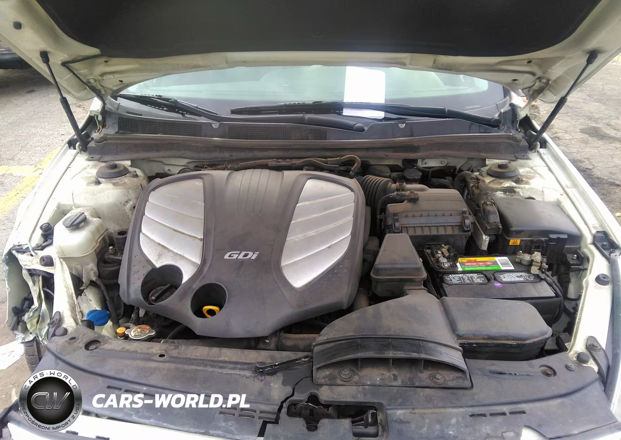 2014 Kia Cadenza Premium VIN:KNALN4D75E5140579 - 10