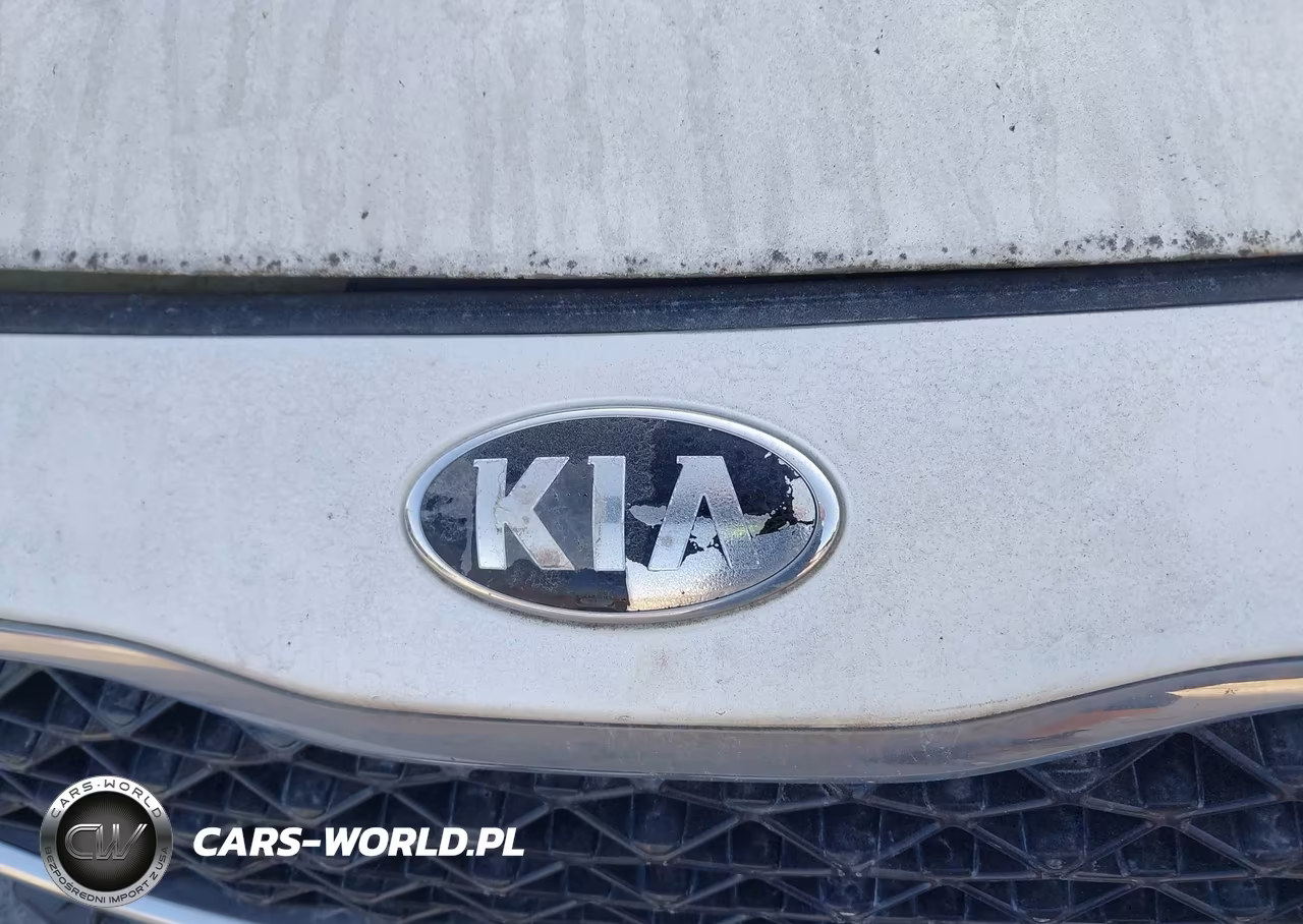 2014 Kia Cadenza Premium VIN:KNALN4D75E5140579 - 11