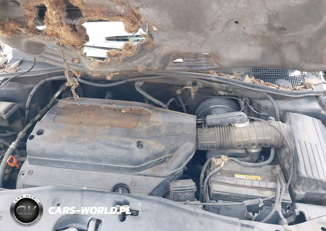 2004 Honda Odyssey Ex-L VIN:5FNRL180X4B074056 - 10