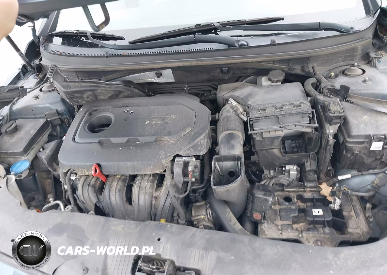 2015 Hyundai Sonata Sport VIN:5NPE34AF9FH238397 - 10