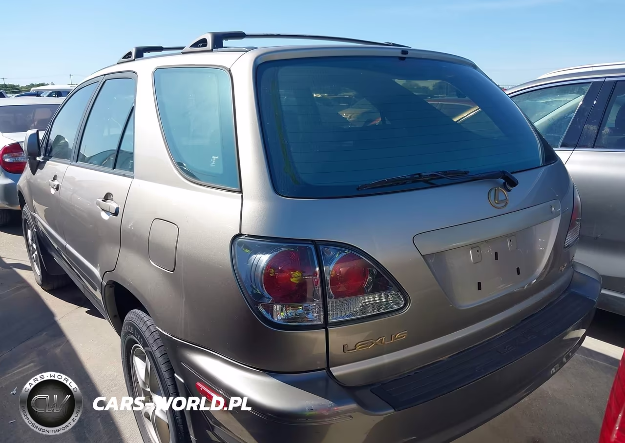 2001 Lexus Rx 300 VIN:JTJGF10U310116913 - 3