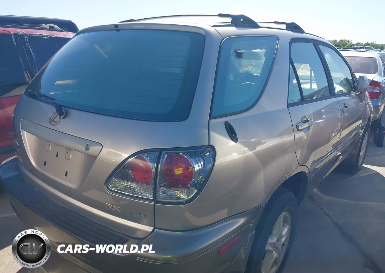 2001 Lexus Rx 300 VIN:JTJGF10U310116913 - 4