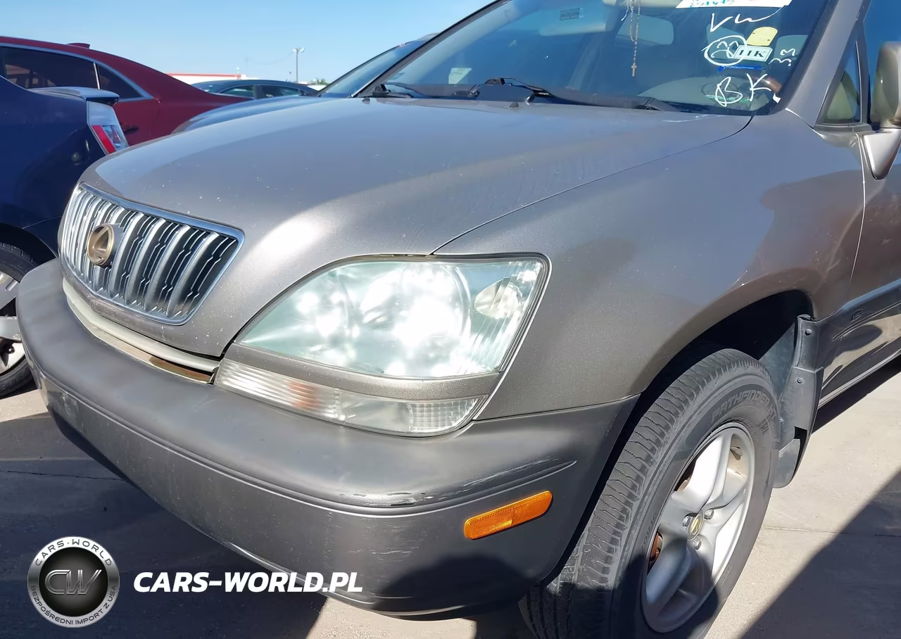 2001 Lexus Rx 300 VIN:JTJGF10U310116913 - 6